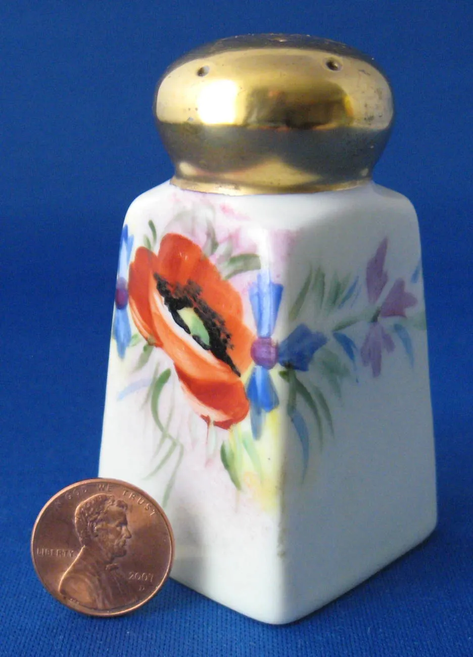 Noritake Nippon Salt Shaker Cruet Poppy Hand Painted 1910s