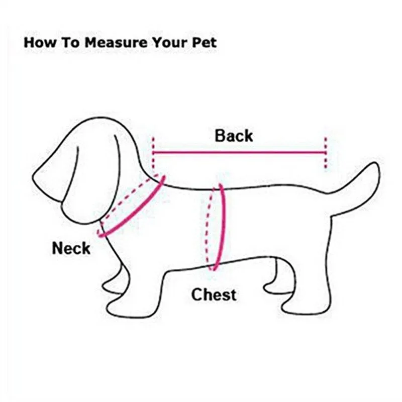 Pet Denim Coat